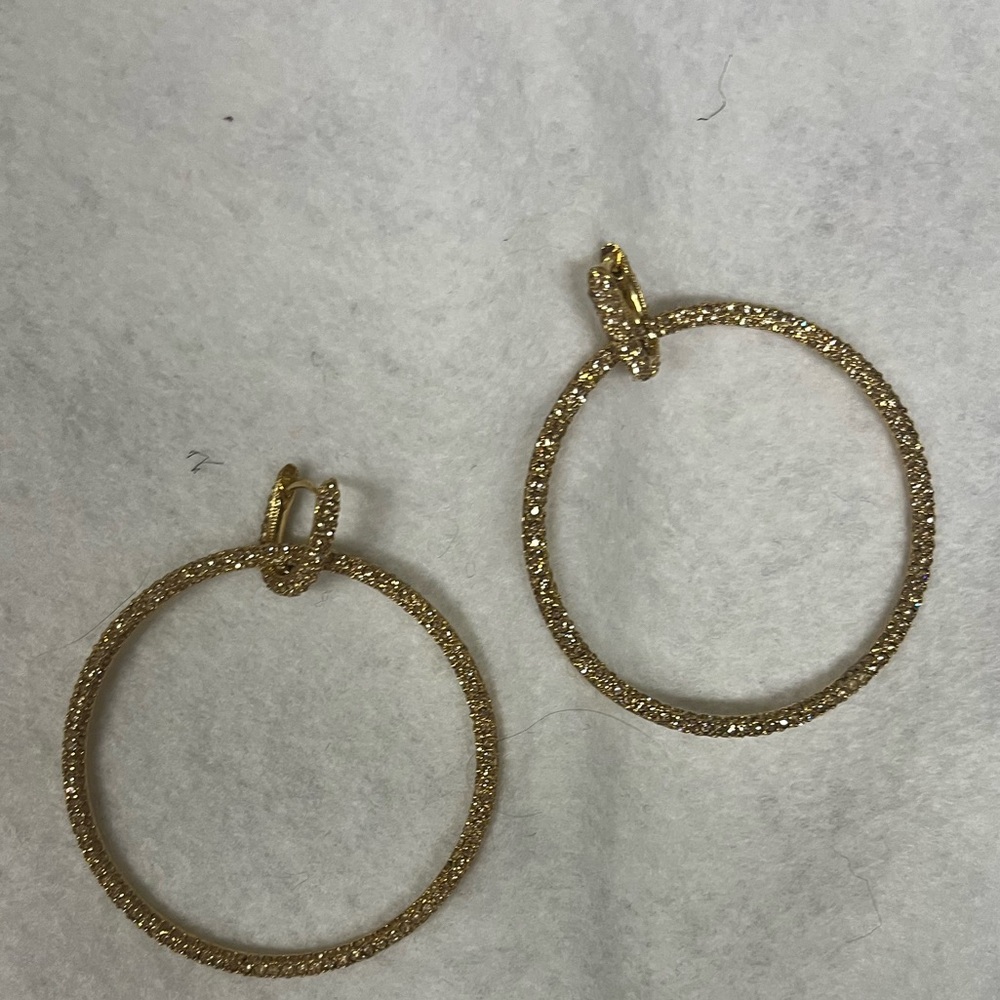 Elegant Gold Hoop Earrings